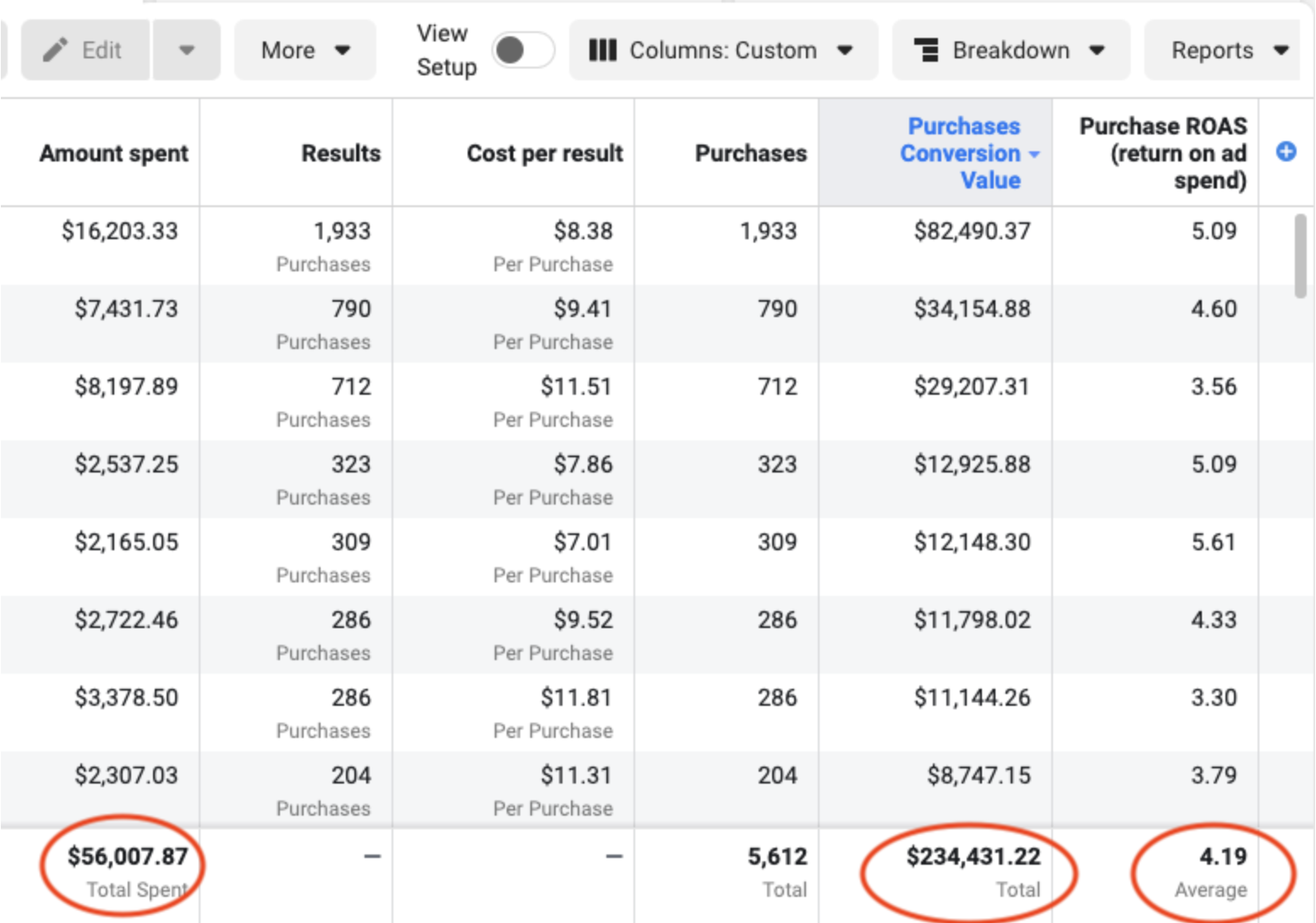 $234,000 at 4.19 ROAS Meta Ads Results